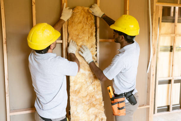 Best Wall Insulation Contractor  in Negaunee, MI
